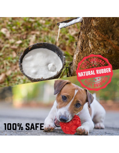 Juguete para Perros VANFINE Squeaky Indestructible 15.95cm