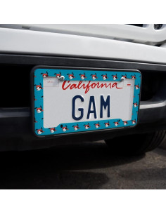 Marco de Placa de Matrícula Animaniacs Wakko - Graphics & More 2