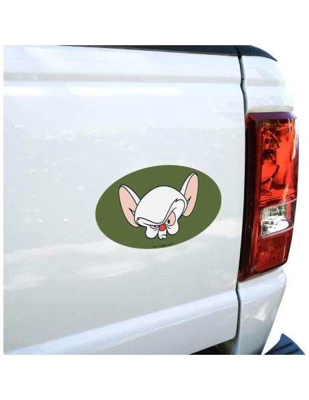 Imán Ovalado Pinky y El Cerebro - Graphics & More - 17.8x10.2cm