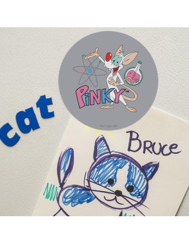 Imán Pinky y el Cerebro 14cm Vinilo Gráfico Automotriz
