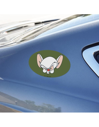 Imán Ovalado Pinky y El Cerebro - Graphics & More - 17.8x10.2cm