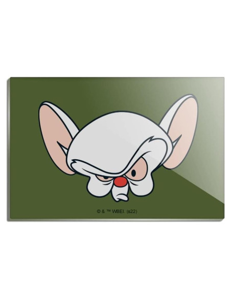 Imán Acrílico Rectangular Pinky y Cerebro 7.6x5.1cm