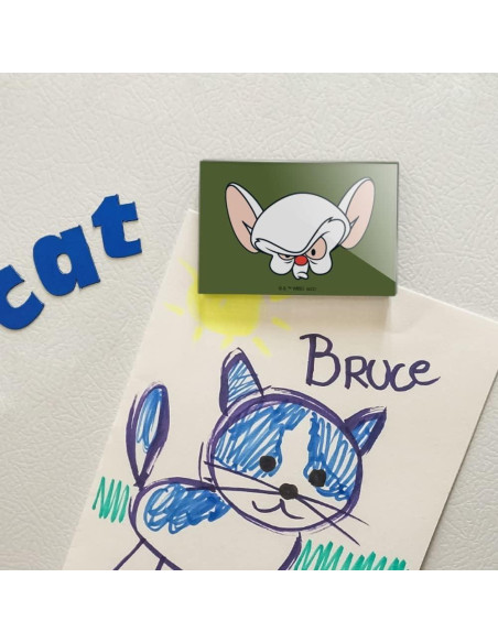 Imán Acrílico Rectangular Pinky y Cerebro 7.6x5.1cm