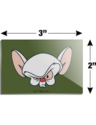 Imán Acrílico Rectangular Pinky y Cerebro 7.6x5.1cm