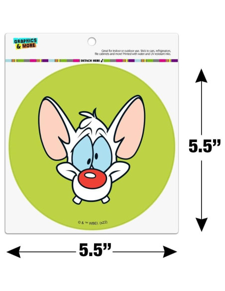 Imán de Vinilo Pinky y el Cerebro 14cm - Graphics & More