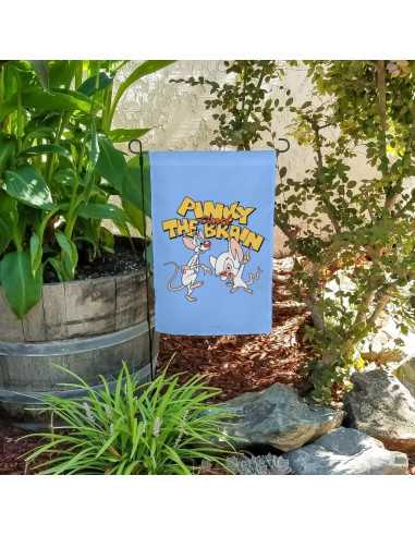 Bandera de Jardín Pinky y el Cerebro 48x33 cm Graphics & More
