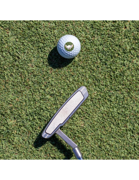 Pelotas de Golf Wilson Pinky y el Cerebro 12 Pack Premium