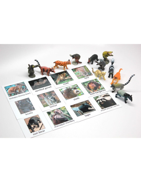 Juego de Emparejamiento Montessori Animales de la Selva - 12 Miniaturas y Tarjetas Juego de Emparejamiento Montessori Animales de la Selva - 12 Miniaturas y Tarjetas