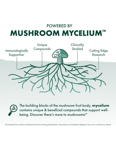 Cápsulas de Chaga Host Defense - Suplemento Inmunológico 60 Unidades