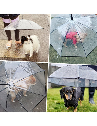 Paraguas para Perros Lesypet con Correa 31 cm y 71.9 cm