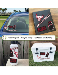 Calcomanía Chicago Bulls Desert Cactus NBA Vinilo 27.9x21.6cm 2
