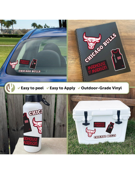 Calcomanía Chicago Bulls Desert Cactus NBA Vinilo 27.9x21.6cm