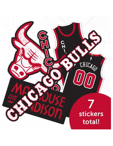 Calcomanía Chicago Bulls Desert Cactus NBA Vinilo 27.9x21.6cm