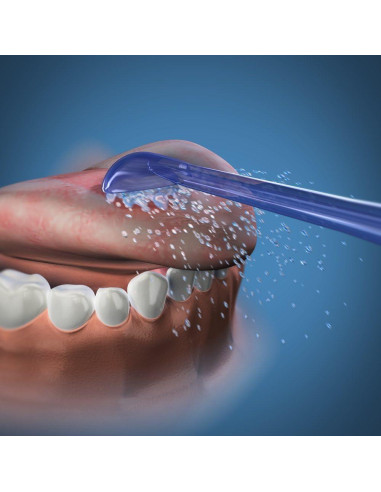 Limpiador de Lengua Waterpik TC-100E - 2 Puntas de Repuesto