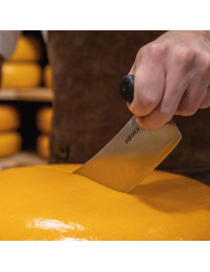 Cuchillo de Queso Profesional Boska 38 cm Doble Mango Acero Inoxidable 2