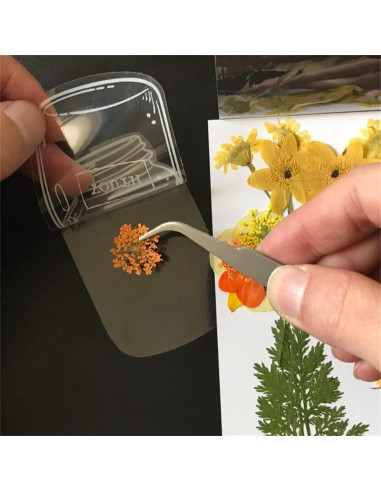 Marcador de Página Grande DEARPIH 40PC Flor Transparente