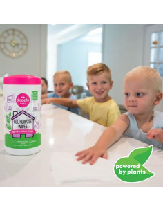 Toallitas Multiusos Dapple Baby Hipoalergénicas Lavanda 4 Pzas 2