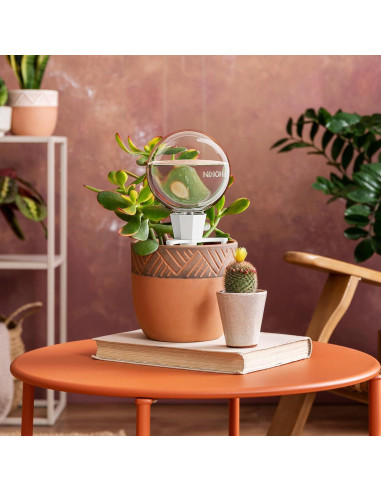 NiHome 2PCS Esferas de Riego Automático de Arcilla 0.5L