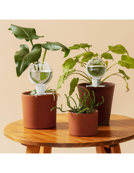 NiHome 2PCS Esferas de Riego Automático de Arcilla 0.5L