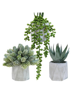 Conjunto de 3 Suculentas Artificiales Winlyn en Macetas Hexagonales