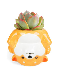 Maceta de Cerámica Corgi 11.18 cm con Drenaje para Suculentas