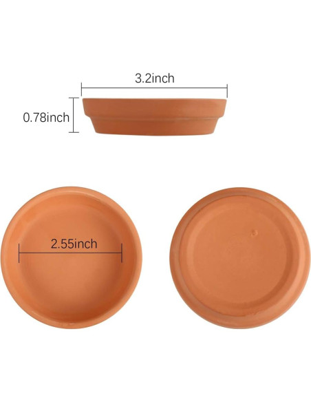 24 Platos de Terracota FCFKUK para Macetas de Suculentas 24 Platos de Terracota FCFKUK para Macetas de Suculentas