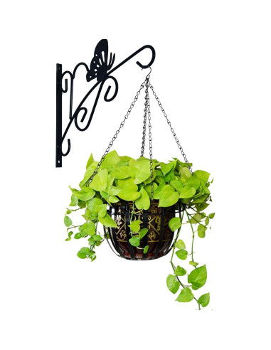 Cadena Colgante EMPHY 61 cm con 4 Ganchos para Macetas