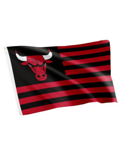 Bandera Chicago Bulls Desert Cactus 91x152 cm Poliester