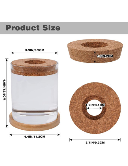 Kit de Crecimiento de Aguacate Bylion 5 Pcs con Jarrón de Vidrio