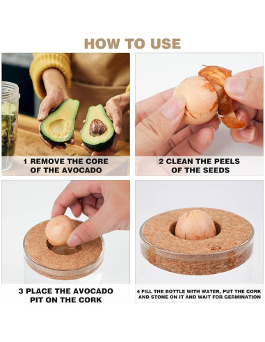 Kit de Crecimiento de Aguacate Bylion 5 Pcs con Jarrón de Vidrio