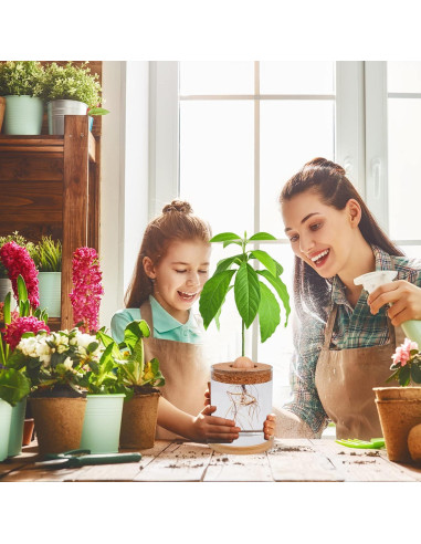 Kit de Crecimiento de Aguacate Bylion 5 Pcs con Jarrón de Vidrio