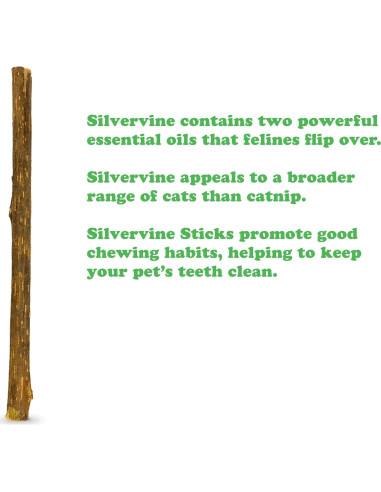 Palos de Silvervine Meowijuana 10 cm para Gatos - Masticables Naturales