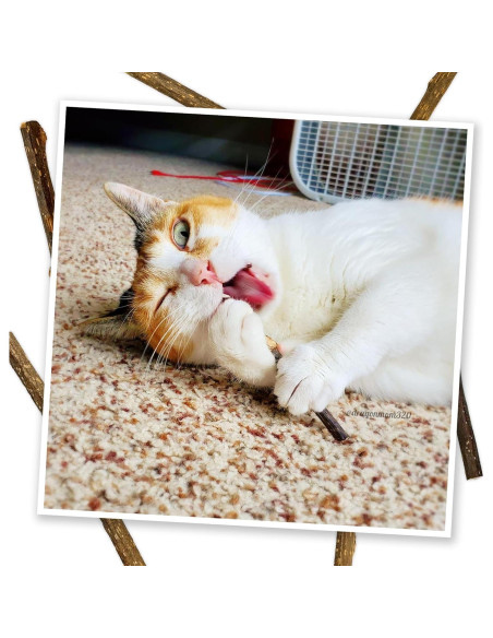 Palos de Silvervine Meowijuana 10 cm para Gatos - Masticables Naturales