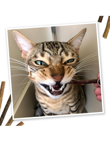 Palos de Silvervine Meowijuana 10 cm para Gatos - Masticables Naturales