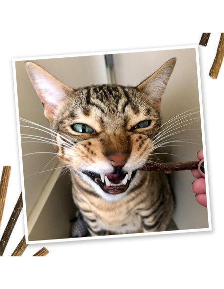 Palos de Silvervine Meowijuana 10 cm para Gatos - Masticables Naturales