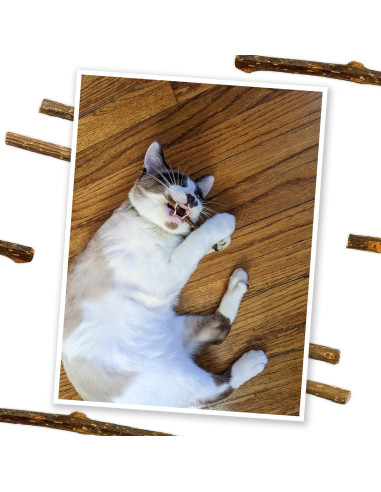 Palos de Silvervine Meowijuana 10 cm para Gatos - Masticables Naturales