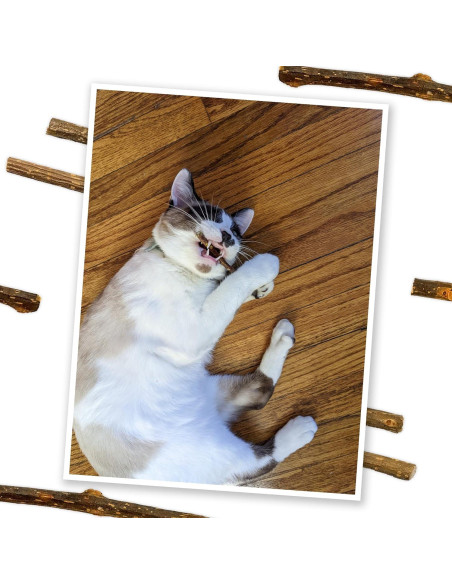 Palos de Silvervine Meowijuana 10 cm para Gatos - Masticables Naturales