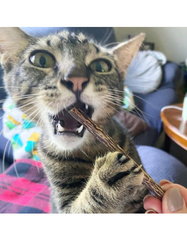 Palos de Silvervine Meowijuana 10 cm para Gatos - Masticables Naturales