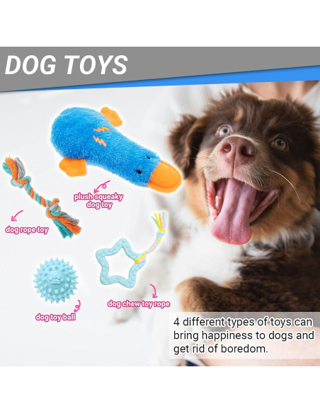 Kit de Inicio para Cachorros FLYSTAR 26 Piezas Accesorios