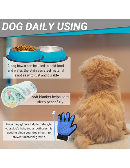 Kit de Inicio para Cachorros FLYSTAR 26 Piezas Accesorios