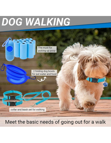 Kit de Inicio para Cachorros FLYSTAR 26 Piezas Accesorios