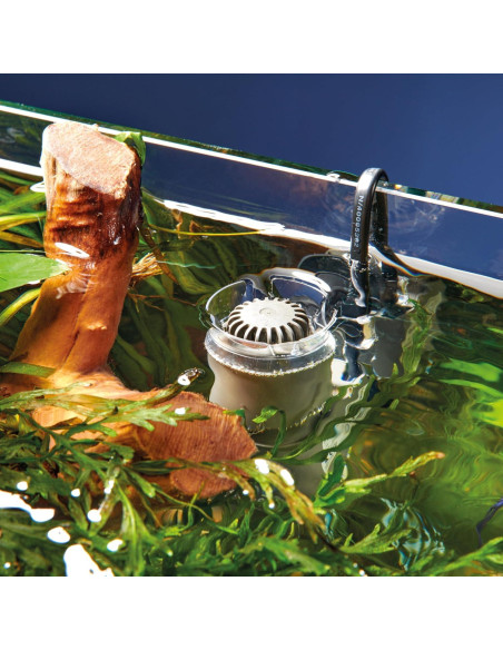 Skimmer de Superficie OASE CrystalSkim 350 para Acuarios 350L