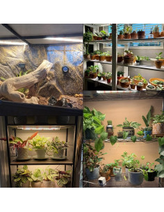 Tira de luz de crecimiento LED GYTF 3500K 34cm regulable 2