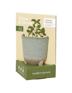 Vela de Jardín Glow and Grow Modern Sprout + Kit Albahaca