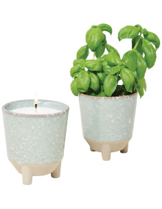 Vela de Jardín Glow and Grow Modern Sprout + Kit Albahaca 2