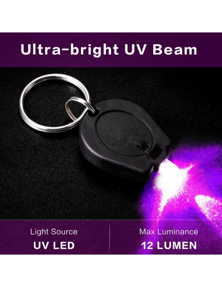 Paquete de 6 Linternas UV LED RaySoar 395nm Llave Prácticas