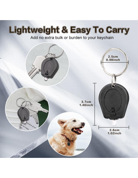 Paquete de 6 Linternas UV LED RaySoar 395nm Llave Prácticas