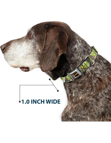 Collar para Perros Crunchyroll Dr Stone 50.8-78.7 cm 1.5 cm