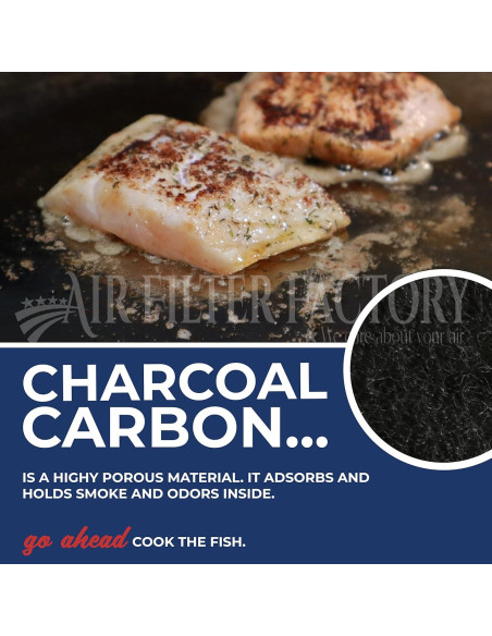 Filtro de Aire Campana Extractora Air Filter Factory LL62F