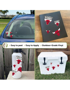 Calcomanía Chicago Bulls Desert Cactus Vinilo Adhesivo 27.9x21.6cm 2